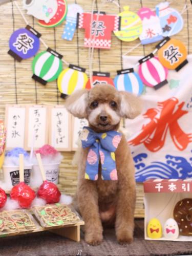 20240710メリーちゃん